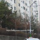 우면동고 이미지