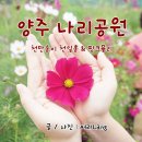 핑크나리