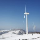 세상목장 이미지