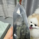 덴탈왕 이미지