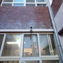 장전중학교 이미지