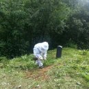 신내1동-010 이미지