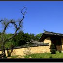 [사진여행] 성주/한개마을 이미지