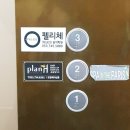 펠리체음악학원 이미지