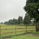 재환목장 이미지