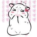 제주인하우스펜션 이미지