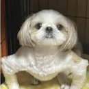 피트니스라인 이미지