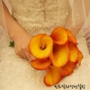 비즈빛컨설팅