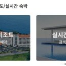 더케이몰 티스토리