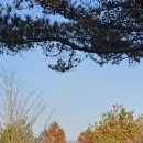 진안군청 화장실 | [파크골프 리뷰] 심판이 직접 뛴 &#39;진안군파크골프장&#39; 27홀 완전 정복기 (Feat. 예약방법 &amp; 코스공략)