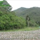 현산면 구시리 ~ 장고개 이미지