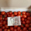 행복한농부 | 행복한 농부 싱싱한 대추 방울토마토 2kg 후기 &amp; 솔직 리뷰