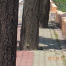영천성남여자고등학교 이미지