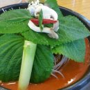 박가뼈다귀 이미지