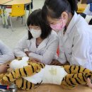 경기도 북부야생동물구조관리센터 이미지