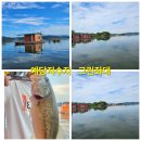 그린좌대낚시터 이미지