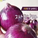 식약동원 이미지