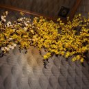 옹차게 마시자 이미지