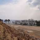 통일여행사
