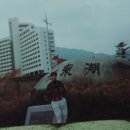 죠이랜드 이미지