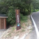 창원시 달천공원 오토캠핑장 Daum카페
