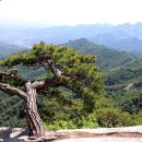 에덴동산 - 남구 | 에덴동산