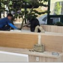 푸른소나무약국 이미지