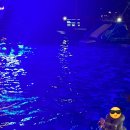 두곡해수욕장 | 즐거운 남해여행/남해비치호텔/두곡해수욕장/더풀햄버거