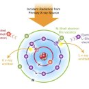 엘림글로벌 이미지