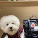 롯데동부산아울렛피엘라벤