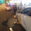 승일카 이미지