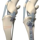 오뜨동물의료센터 이미지