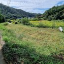 알프스공인중개사사무소 이미지