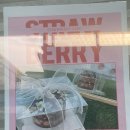 작소농장 이미지