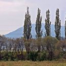 화랑공원 이미지