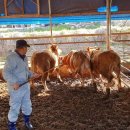 거창-거창-4 이미지