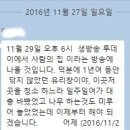 생방송투데이 - 포천통나무집 이미지