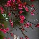 프랭크버거 포항초곡점