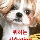 와리가리 이미지