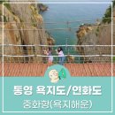 욕지해운(욕지카훼리/대성골드) | 2025추석 욕지도여행 배편 차량 예약 요금