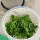 (주)미림테크 | 9월 첫째주~둘째주 일상) 화이자1차 접종, 집에서 감바스랑 파스타,영등포커리집 에베레스트, 오픽시험...