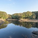 선흘 그곳 이미지