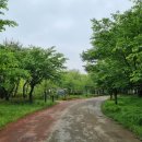 늘솔길공원입구 이미지