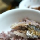 반주 티스토리