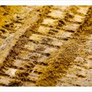 진성모터스2호점 이미지