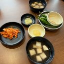 막내카 | 제주도 해장국 아침식사 맛집 대춘해장국 이호테우점(막내딸점) 내장탕 후기