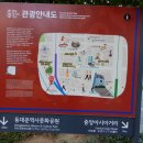 서울 중앙아시아 거리(광희동, 2026.10.21) 이미지