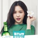 행복하시개 이미지