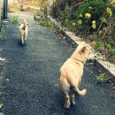 멍돌이와 멍순이 이미지