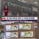 내추럴펭귄